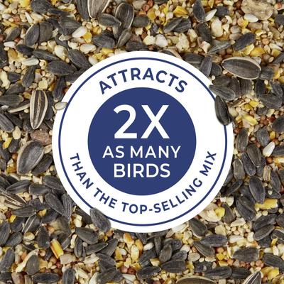 Show full view: Kaytee Birders' Paradise Blend Sunflower, Safflower & Peanuts Songbird Wild Bird Food, 16-lb bag slide 2 of 11