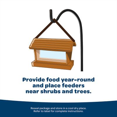 Show full view: Kaytee Birders' Paradise Blend Sunflower, Safflower & Peanuts Songbird Wild Bird Food, 5-lb bag slide 6 of 11