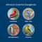 Show in main carousel: Kaytee Birders' Paradise Blend Sunflower, Safflower & Peanuts Songbird Wild Bird Food, 5-lb bag slide 5 of 11