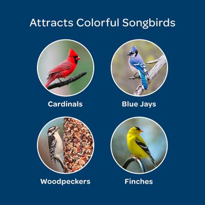 Show full view: Kaytee Birders' Paradise Blend Sunflower, Safflower & Peanuts Songbird Wild Bird Food, 5-lb bag slide 5 of 11