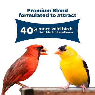 Show full view: Kaytee Birders' Paradise Blend Sunflower, Safflower & Peanuts Songbird Wild Bird Food, 5-lb bag slide 4 of 11