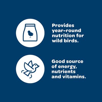 Show full view: Kaytee Birders' Paradise Blend Sunflower, Safflower & Peanuts Songbird Wild Bird Food, 5-lb bag slide 3 of 11