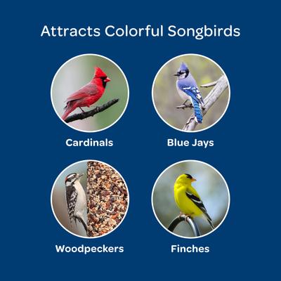 Show full view: Kaytee Birders' Paradise Blend Sunflower, Safflower & Peanuts Songbird Wild Bird Food, 8-lb bag slide 5 of 11