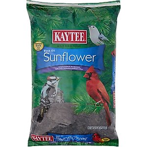 Kaytee Black Oil Sunflower Bird Food, 10-lb bag
