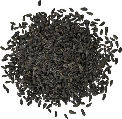 Show full view: Kaytee Black Oil Sunflower Bird Food, 10-lb bag slide 3 of 10