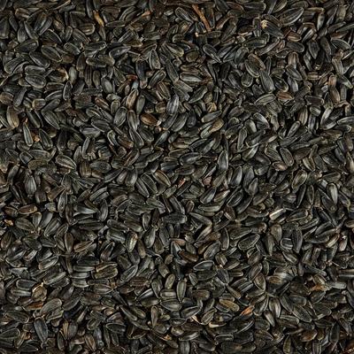 Show full view: Kaytee Black Oil Sunflower Bird Food, 10-lb bag slide 8 of 10