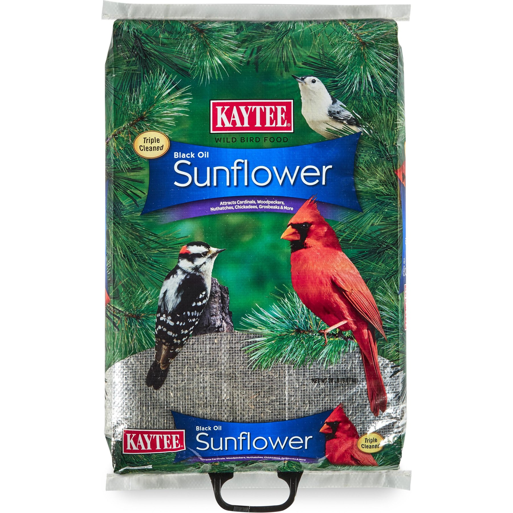 Kaytee Black Oil Sunflower Bird Food, 20-lb bag