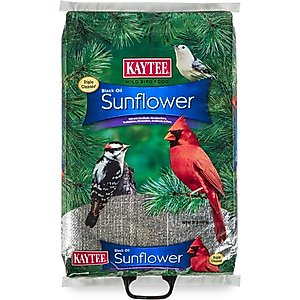 Kaytee Black Oil Sunflower Bird Food, 20-lb bag