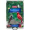 Show in main carousel: Kaytee Black Oil Sunflower Bird Food, 20-lb bag slide 1 of 11