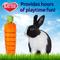 Show in main carousel: Kaytee Bunny Flip 'N' Toss Carrot Small Pet Toy, 6-in slide 5 of 7