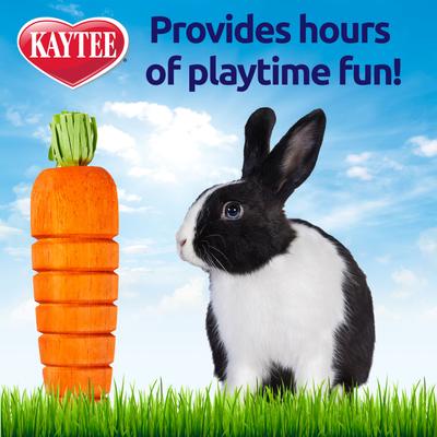 Show full view: Kaytee Bunny Flip 'N' Toss Carrot Small Pet Toy, 6-in slide 5 of 7
