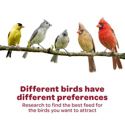 Show full view: Kaytee Cardinal Wild Bird Food, 7-lb bag slide 9 of 10