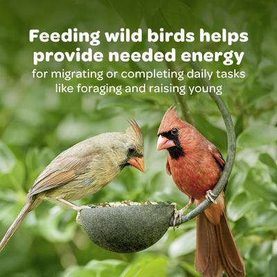 Show full view: Kaytee Cardinal Wild Bird Food, 7-lb bag slide 6 of 10