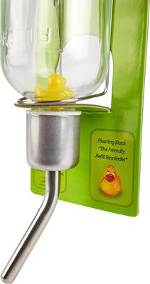 Show full view: Kaytee Chew Proof Small Pet Water Bottle, 12-oz bottle slide 3 of 7