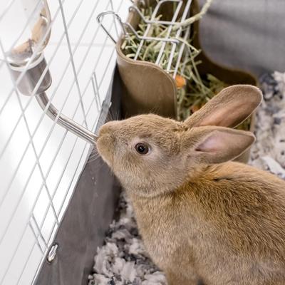 Show full view: Kaytee Chew Proof Small Pet Water Bottle, 12-oz bottle slide 4 of 7