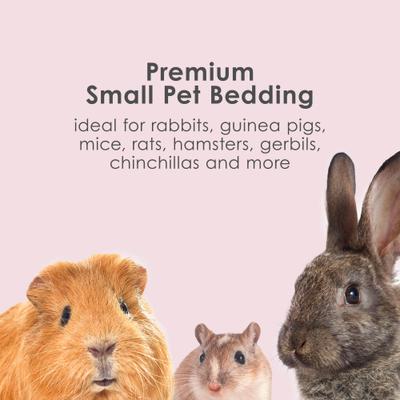 Show full view: Kaytee Clean & Cozy Colors Small Pet Bedding, Plum, 24.6-L slide 4 of 10