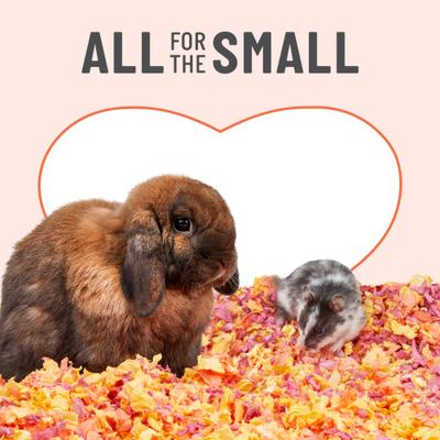 Show full view: Kaytee Clean & Cozy Colors Small Pet Bedding, Sunset, 24.6-L slide 6 of 10