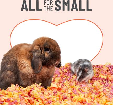 Show full view: Kaytee Clean & Cozy Colors Small Pet Bedding, Sunset, 49.2-L slide 6 of 10