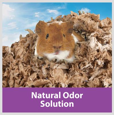 Show full view: Kaytee Clean & Cozy Lavender Natural Small Pet Bedding, 49.2-litters slide 4 of 9