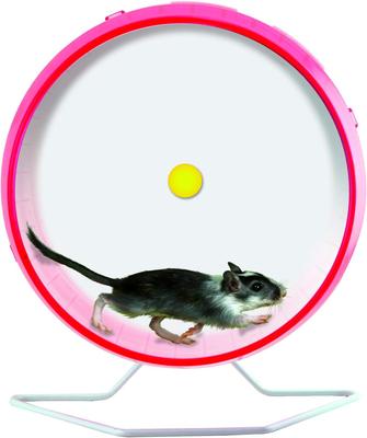 Show full view: Kaytee Comfort Small Animal Exercise Wheel, 12-in slide 9 of 15