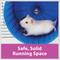 Show in main carousel: Kaytee Comfort Small Animal Exercise Wheel, 8.5-in slide 2 of 15