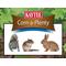 Show in main carousel: Kaytee Corn-a-Plenty Seed Cake Squirrel Food, 2.5-lb, 1 count slide 6 of 8