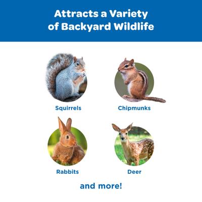 Show full view: Kaytee Corn On The Cob Wild Bird Food, 6.5-lb bag slide 6 of 9