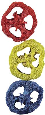 Show full view: Kaytee Crispy Chews Small Pet Toy, 3 count slide 2 of 2