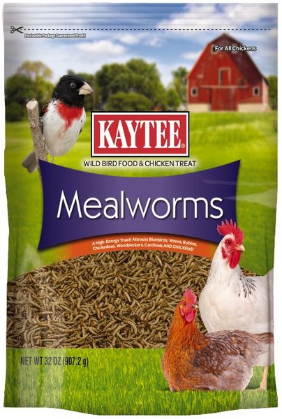 Kaytee Dried Mealworms Wild Bird & Chicken Treat