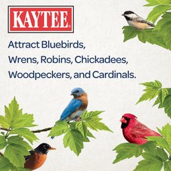 Kaytee Dried Mealworms Wild Bird & Chicken Treat, 32-oz bag slide 2 of 9
