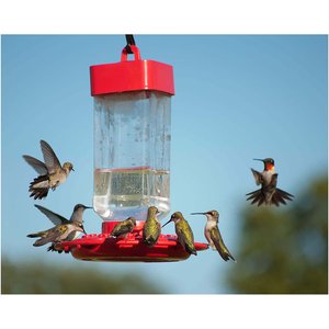 Kaytee Electro Nectar Hummingbird Food, 64-oz bottle