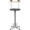 Show in main carousel: Kaytee EZ Care T Bird Stand, Medium slide 1 of 3