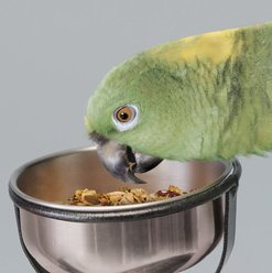 Kaytee EZ Care T Bird Stand, Medium slide 2 of 2