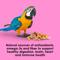 Show in main carousel: Kaytee Fiesta Big Bites Macaw Food, 10-lb bag slide 7 of 13