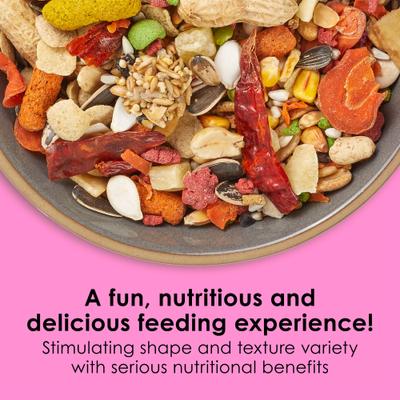 Show full view: Kaytee Fiesta Big Bites Parrot Food, 4-lb bag slide 2 of 11