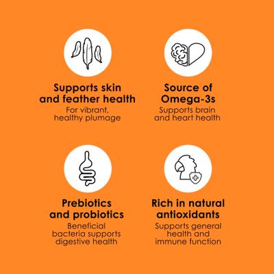 Show full view: Kaytee Fiesta Big Bites Parrot Food, 4-lb bag slide 5 of 11