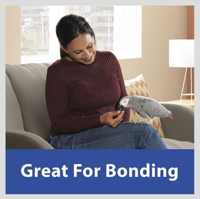 Show full view: Kaytee Fiesta Blueberry Flavored Yogurt Dipped Sunflower Seeds Bird Treats, 2.5-oz bag slide 4 of 7