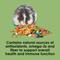 Show in main carousel: Kaytee Fiesta Gourmet Variety Diet Gerbil & Hamster Food, 2.5-lb bag slide 6 of 11