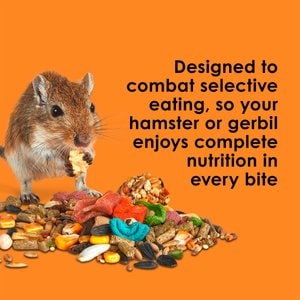 Kaytee Fiesta Gourmet Variety Diet Gerbil & Hamster Food, 2.5-lb bag