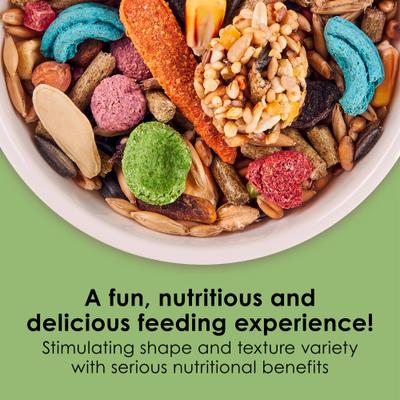 Show full view: Kaytee Fiesta Gourmet Variety Diet Gerbil & Hamster Food, 2.5-lb bag slide 2 of 11