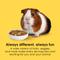 Show in main carousel: Kaytee Fiesta Guinea Pig Food, 2.5-lb bag slide 3 of 15