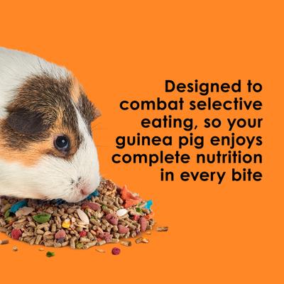 Show full view: Kaytee Fiesta Guinea Pig Food, 25-lb bag slide 4 of 15