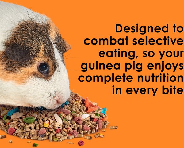 Show full view: Kaytee Fiesta Gourmet Variety Diet Guinea Pig Food, 4.5-lb bag slide 4 of 15