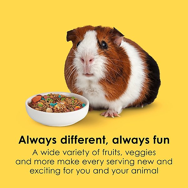 Show full view: Kaytee Fiesta Gourmet Variety Diet Guinea Pig Food, 4.5-lb bag slide 3 of 15