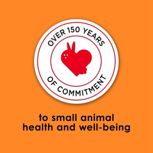 Kaytee Fiesta Gourmet Variety Diet Mouse & Rat Food, 2-lb bag