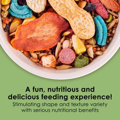 Show full view: Kaytee Fiesta Gourmet Variety Diet Mouse & Rat Food, 2-lb bag slide 2 of 12