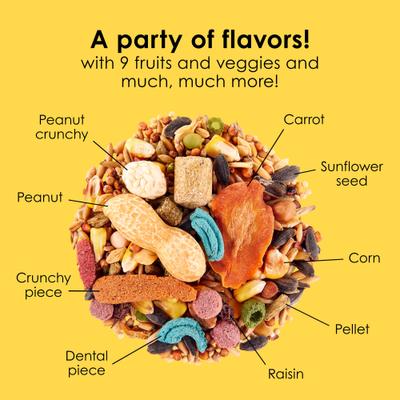 Show full view: Kaytee Fiesta Gourmet Variety Diet Mouse & Rat Food, 4.5-lb bag slide 7 of 12