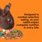 Show in main carousel: Kaytee Fiesta Rabbit Food, 3.5-lb bag slide 4 of 15