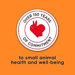 Kaytee Fiesta Rabbit Food, 6.5-lb bag slide 2 of 9