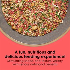 Kaytee Fiesta Variety Mix Canary & Finch Food, 2-lb bag slide 2 of 9
